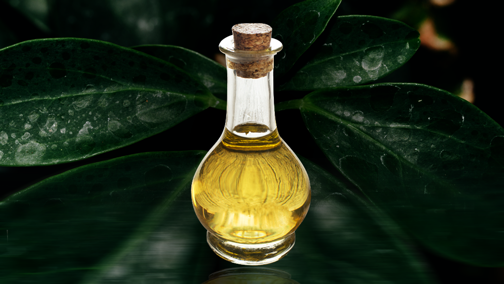 Óleo mineral x óleo vegetal: qual o melhor?