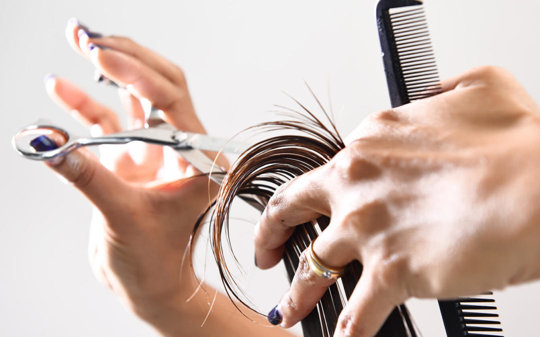 Mãos de mulher cortando as pontas de um cabelo castanho