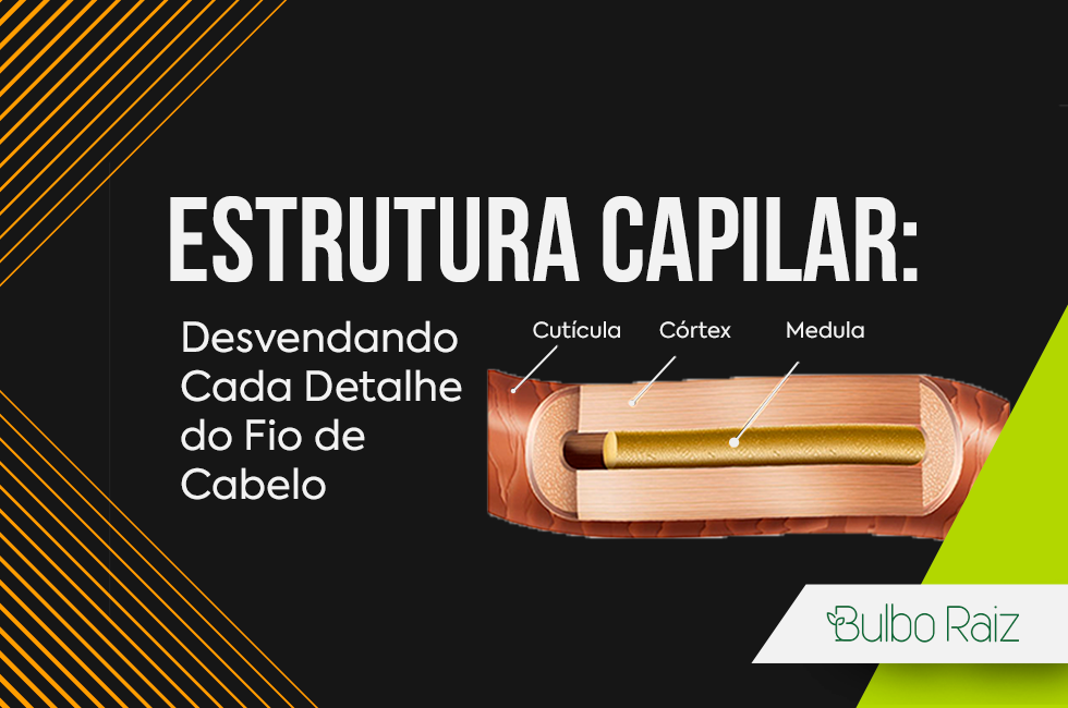 Estrutura Capilar: desvendando cada detalhe do fio de cabelo